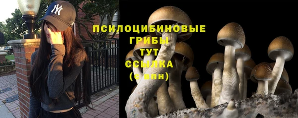экстази Арсеньев
