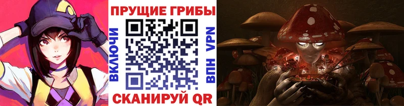 площадка какой сайт купить цена Малгобек Псилоцибиновые грибы Psilocybine cubensis